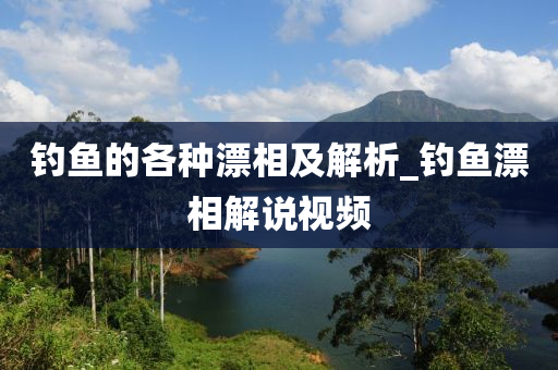 釣魚的各種漂相及解析_釣魚漂相解說視頻-第1張圖片-姜太公愛釣魚