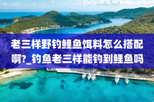 老三樣野釣鯉魚餌料怎么搭配啊?_釣魚老三樣能釣到鯉魚嗎-第1張圖片-姜太公愛釣魚