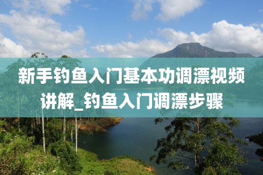 新手釣魚入門基本功調(diào)漂視頻講解_釣魚入門調(diào)漂步驟-第1張圖片-姜太公愛釣魚