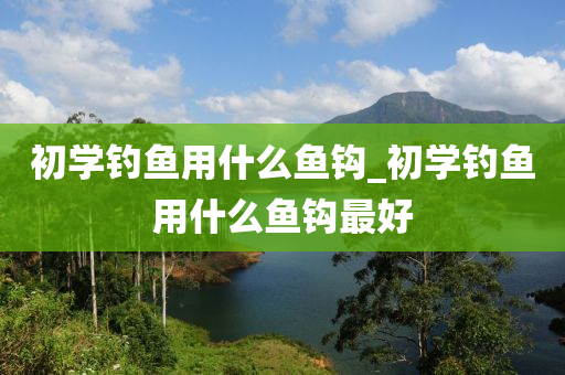 初學(xué)釣魚用什么魚鉤_初學(xué)釣魚用什么魚鉤最好-第1張圖片-姜太公愛釣魚