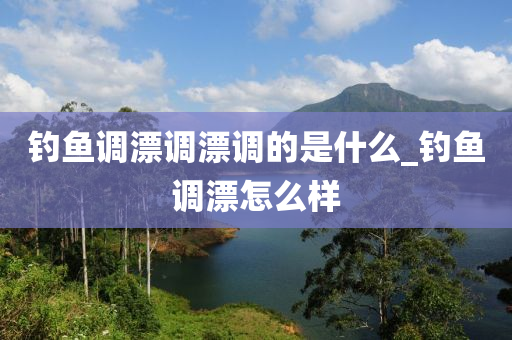 釣魚調(diào)漂調(diào)漂調(diào)的是什么_釣魚調(diào)漂怎么樣-第1張圖片-姜太公愛釣魚