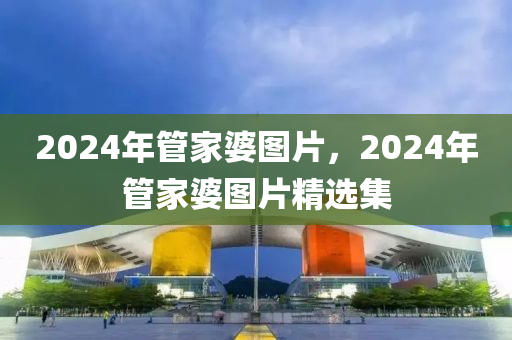 2024年管家婆圖片，2024年管家婆圖片精選集