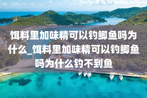 餌料里加味精可以釣鯽魚嗎為什么_餌料里加味精可以釣鯽魚嗎為什么釣不到魚