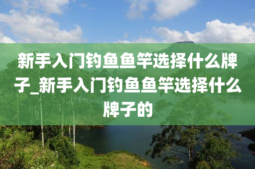 新手入門釣魚魚竿選擇什么牌子_新手入門釣魚魚竿選擇什么牌子的