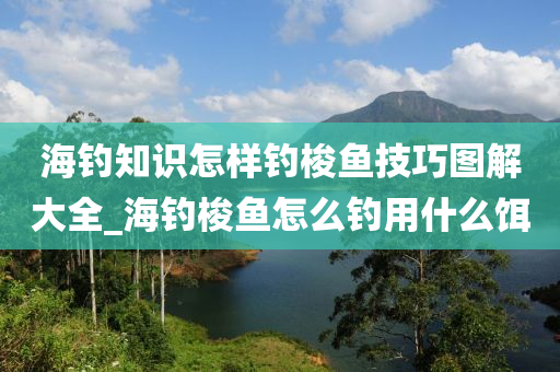 海釣知識(shí)怎樣釣梭魚技巧圖解大全_海釣梭魚怎么釣用什么餌-第1張圖片-姜太公愛釣魚