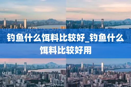 釣魚(yú)什么餌料比較好_釣魚(yú)什么餌料比較好用-第1張圖片-姜太公愛(ài)釣魚(yú)