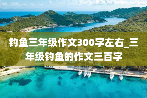 釣魚三年級作文300字左右_三年級釣魚的作文三百字