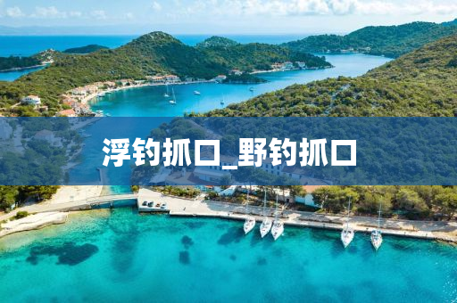 浮釣抓口_野釣抓口