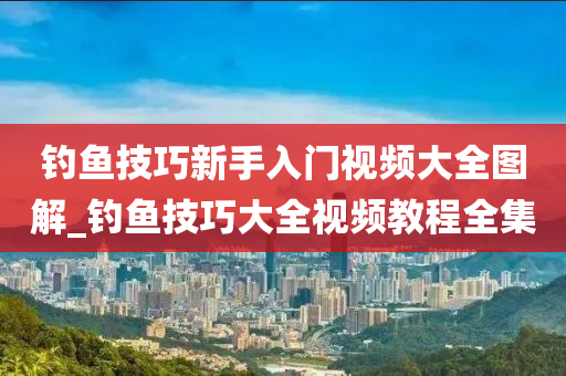 釣魚技巧新手入門視頻大全圖解_釣魚技巧大全視頻教程全集