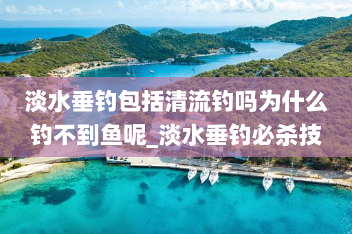 淡水垂釣包括清流釣嗎為什么釣不到魚呢_淡水垂釣必殺技