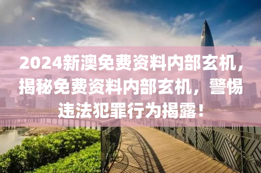 2024新澳免費資料內部玄機，揭秘免費資料內部玄機，警惕違法犯罪行為揭露！