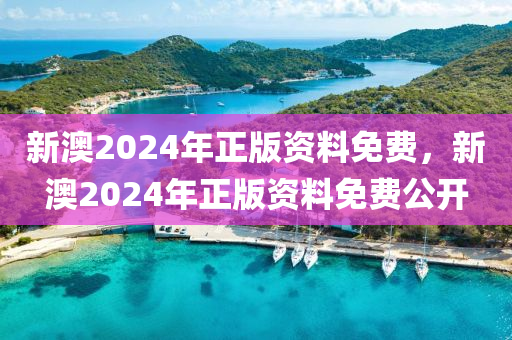 新澳2024年正版資料免費(fèi)，新澳2024年正版資料免費(fèi)公開