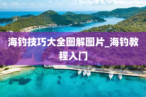 海釣技巧大全圖解圖片_海釣教程入門(mén)