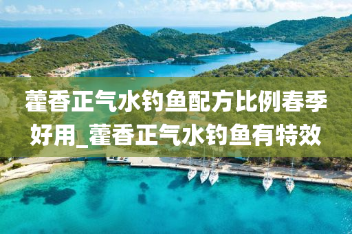 藿香正氣水釣魚配方比例春季好用_藿香正氣水釣魚有特效-第1張圖片-姜太公愛釣魚