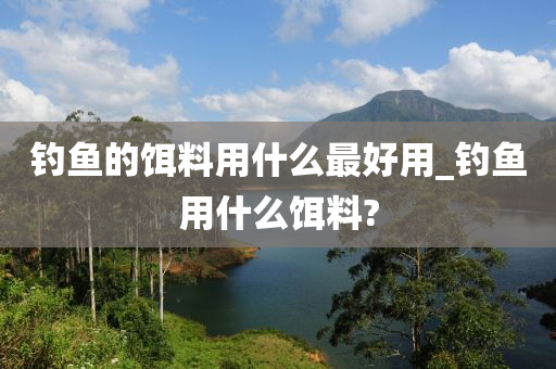 釣魚的餌料用什么最好用_釣魚用什么餌料?-第1張圖片-姜太公愛釣魚