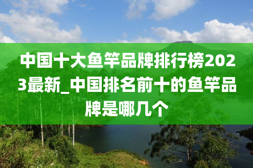 中國(guó)十大魚(yú)竿品牌排行榜2023最新_中國(guó)排名前十的魚(yú)竿品牌是哪幾個(gè)