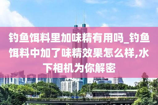 釣魚餌料里加味精有用嗎_釣魚餌料中加了味精效果怎么樣,水下相機(jī)為你解密-第1張圖片-姜太公愛釣魚