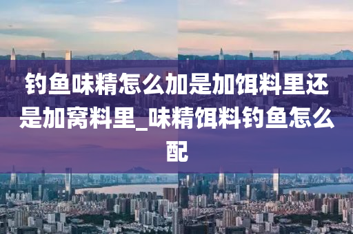 釣魚味精怎么加是加餌料里還是加窩料里_味精餌料釣魚怎么配-第1張圖片-姜太公愛釣魚