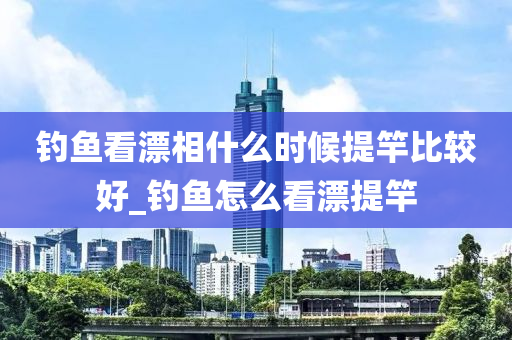 釣魚看漂相什么時(shí)候提竿比較好_釣魚怎么看漂提竿