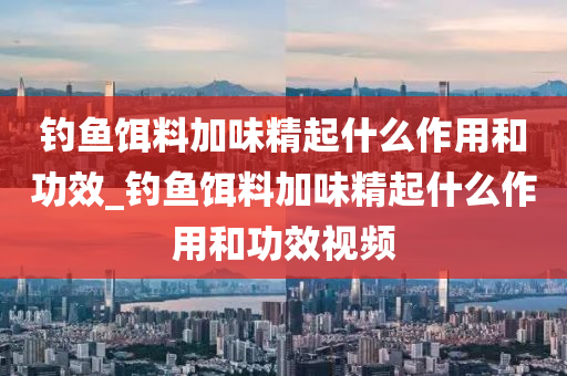 釣魚餌料加味精起什么作用和功效_釣魚餌料加味精起什么作用和功效視頻-第1張圖片-姜太公愛釣魚