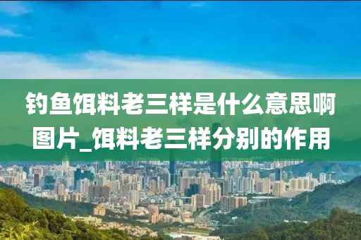 釣魚餌料老三樣是什么意思啊圖片_餌料老三樣分別的作用-第1張圖片-姜太公愛釣魚