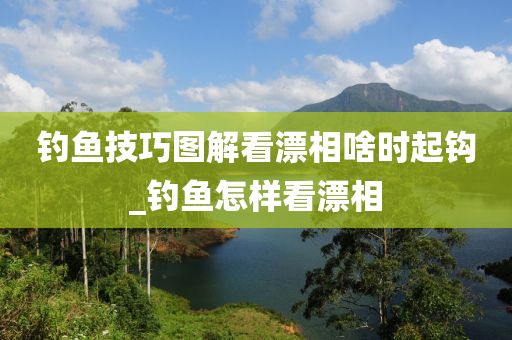 釣魚技巧圖解看漂相啥時起鉤_釣魚怎樣看漂相-第1張圖片-姜太公愛釣魚