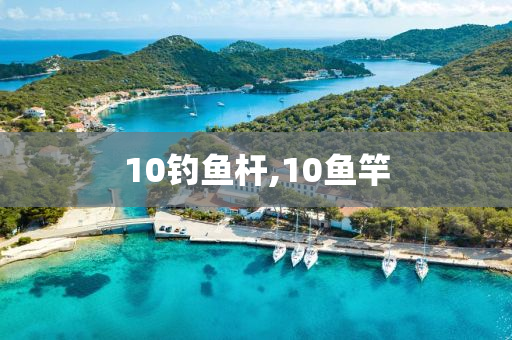 10釣魚桿,10魚竿-第1張圖片-姜太公愛釣魚