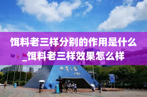 餌料老三樣分別的作用是什么_餌料老三樣效果怎么樣-第1張圖片-姜太公愛釣魚