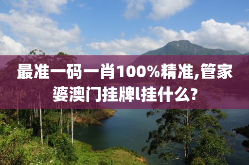 最準(zhǔn)一碼一肖100%精準(zhǔn),管家婆澳門掛牌l掛什么?