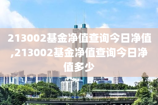 213002基金凈值查詢今日凈值,213002基金凈值查詢今日凈值多少