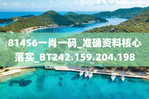 81456一肖一碼_準(zhǔn)確資料核心落實(shí)_BT242.159.204.198