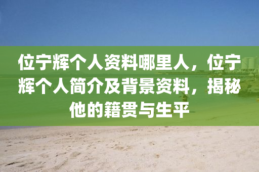 位寧輝個(gè)人資料哪里人，位寧輝個(gè)人簡(jiǎn)介及背景資料，揭秘他的籍貫與生平-第1張圖片-姜太公愛(ài)釣魚(yú)