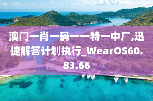 澳門一肖一碼一一特一中廠,迅捷解答計劃執(zhí)行_WearOS60.83.66