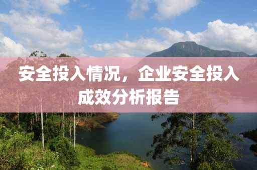 安全投入情況，企業(yè)安全投入成效分析報告