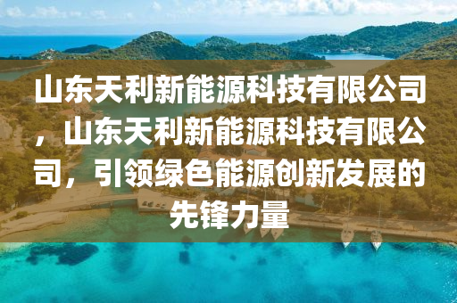 山東天利新能源科技有限公司，山東天利新能源科技有限公司，引領綠色能源創(chuàng)新發(fā)展的先鋒力量