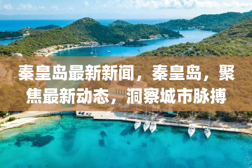 秦皇島最新新聞，秦皇島，聚焦最新動(dòng)態(tài)，洞察城市脈搏-第1張圖片-姜太公愛釣魚