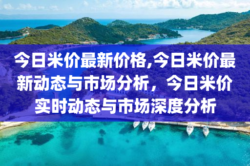 今日米價最新價格,今日米價最新動態(tài)與市場分析，今日米價實時動態(tài)與市場深度分析