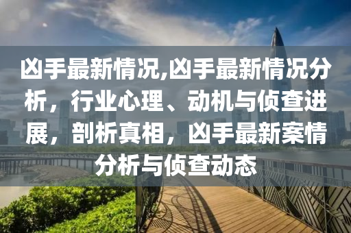 兇手最新情況,兇手最新情況分析，行業(yè)心理、動機與偵查進展，剖析真相，兇手最新案情分析與偵查動態(tài)