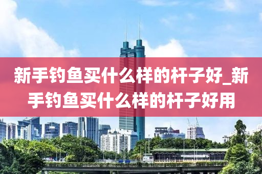 新手釣魚買什么樣的桿子好_新手釣魚買什么樣的桿子好用-第1張圖片-姜太公愛釣魚