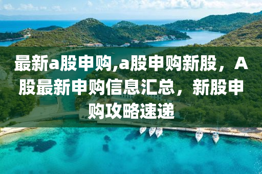 最新a股申購,a股申購新股，A股最新申購信息匯總，新股申購攻略速遞