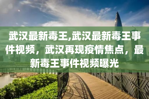 武漢最新毒王,武漢最新毒王事件視頻，武漢再現(xiàn)疫情焦點(diǎn)，最新毒王事件視頻曝光