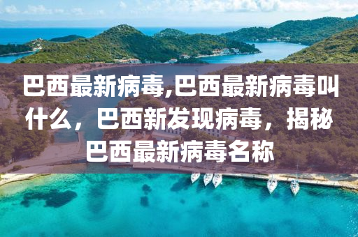 巴西最新病毒,巴西最新病毒叫什么，巴西新發(fā)現(xiàn)病毒，揭秘巴西最新病毒名稱