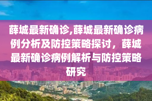 薛城最新確診,薛城最新確診病例分析及防控策略探討，薛城最新確診病例解析與防控策略研究