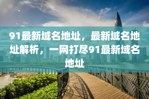 91最新域名地址，最新域名地址解析，一網打盡91最新域名地址