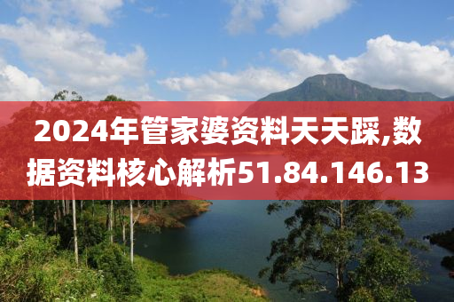 2024年管家婆資料天天踩,數(shù)據(jù)資料核心解析51.84.146.130