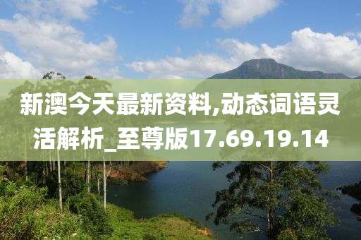 新澳今天最新資料,動(dòng)態(tài)詞語(yǔ)靈活解析_至尊版17.69.19.14