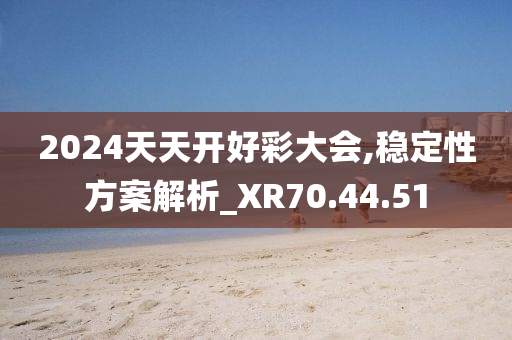 2024天天開好彩大會,穩(wěn)定性方案解析_XR70.44.51